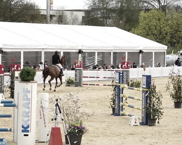 Reitturnier Amriswil 2023