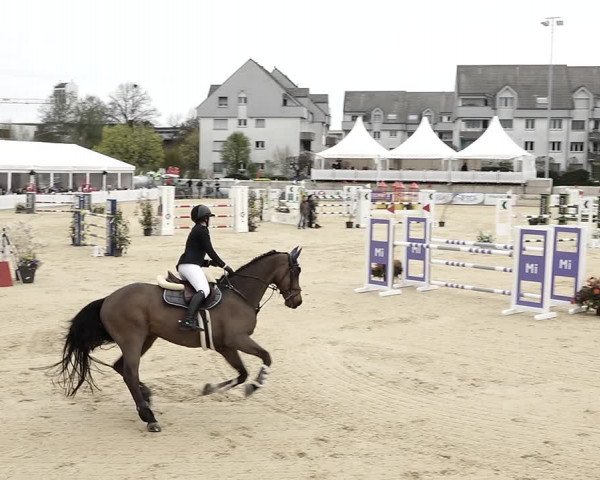 Reitturnier Amriswil 2023