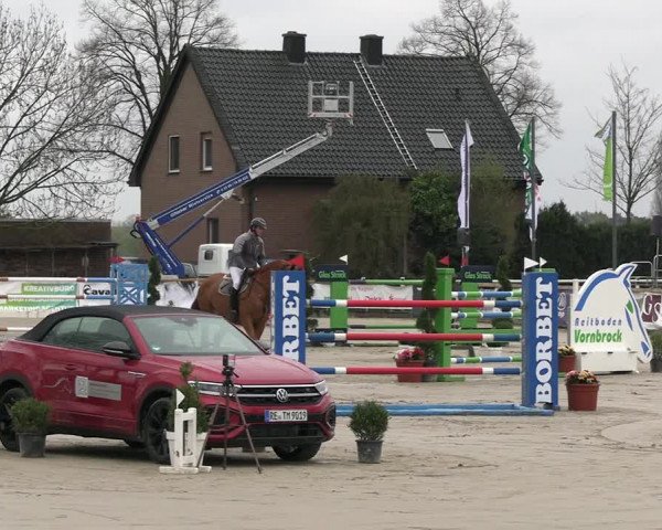 Reitturnier Werne-Lenklar 2023