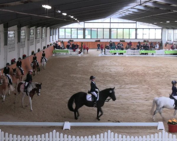 Reitturnier Werne-Lenklar 2023