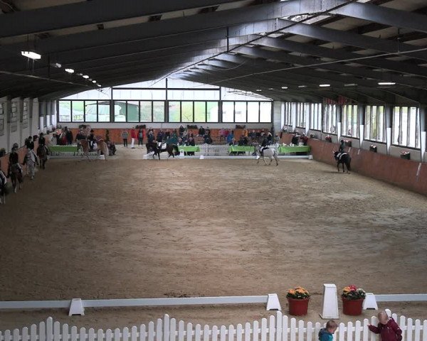 Reitturnier Werne-Lenklar 2023