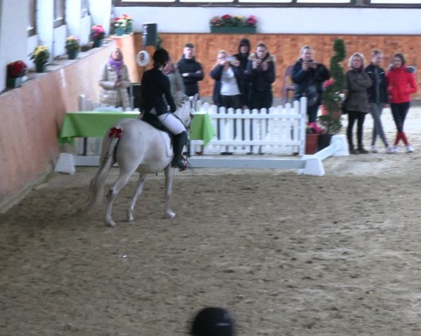Reitturnier Werne-Lenklar 2023