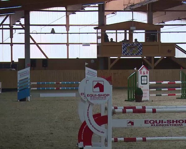 Reitturnier Grafenrheinfeld/Ufr. 2021
