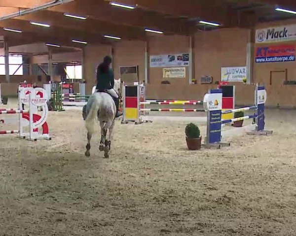 Reitturnier Grafenrheinfeld/Ufr. 2021