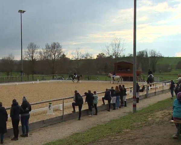 Reitturnier Altentrüdingen/Mfr. 2023