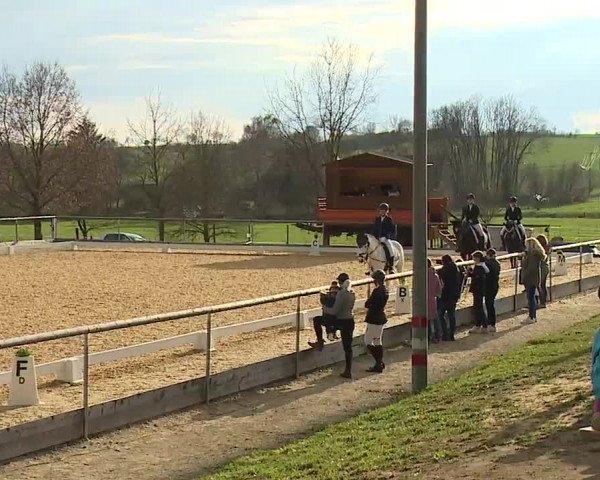 Reitturnier Altentrüdingen/Mfr. 2023