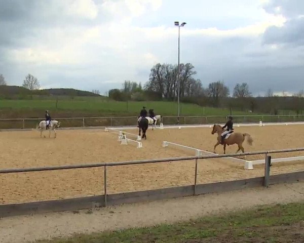 Reitturnier Altentrüdingen/Mfr. 2023