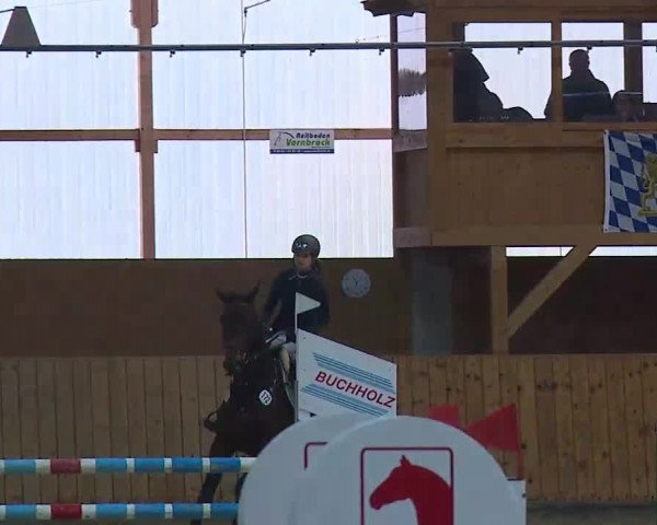 Reitturnier Grafenrheinfeld/Ufr. 2021