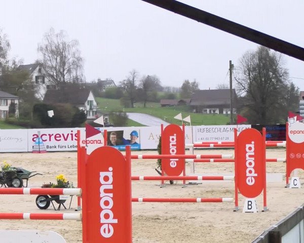 Reitturnier Wädenswil 2023