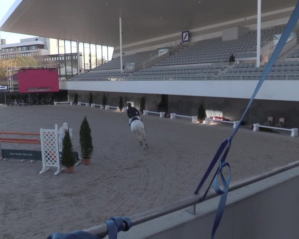 Reitturnier Aachen 2023