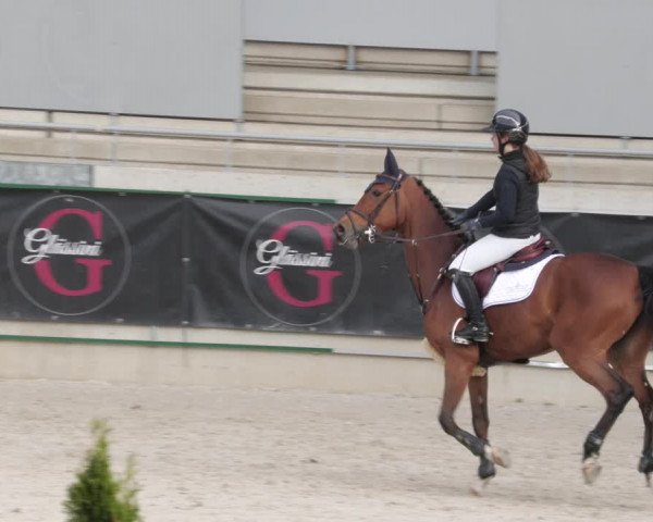Reitturnier Aachen 2023