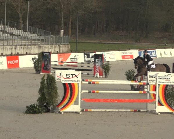 Reitturnier Westergellersen 2023