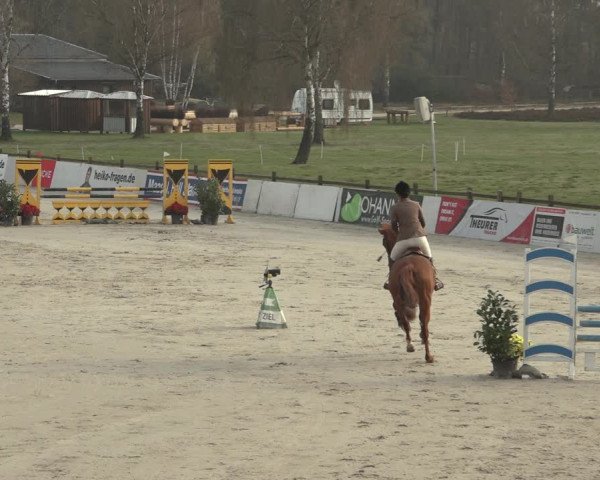Reitturnier Westergellersen 2023
