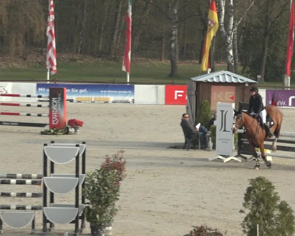 Reitturnier Westergellersen 2023