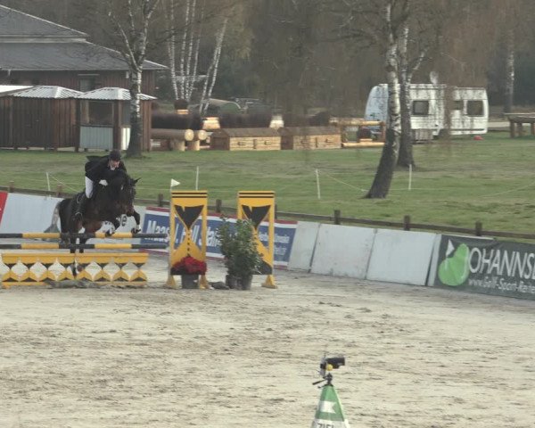 Reitturnier Westergellersen 2023