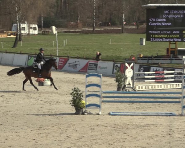 Reitturnier Westergellersen 2023
