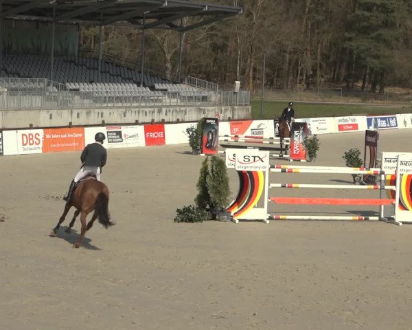 Reitturnier Westergellersen 2023