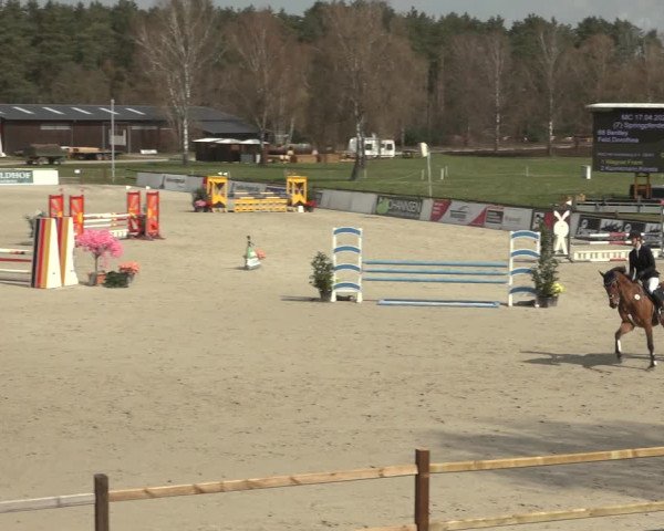 Reitturnier Westergellersen 2023
