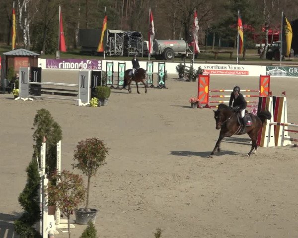 Reitturnier Westergellersen 2023