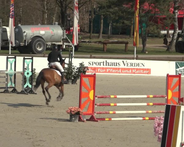 Reitturnier Westergellersen 2023