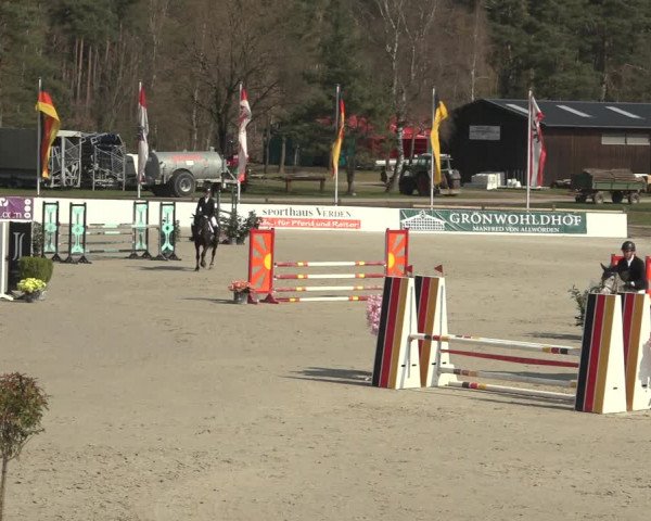 Reitturnier Westergellersen 2023