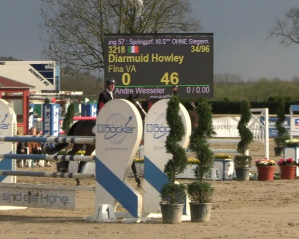 Reitturnier Werne-Lenklar 2023