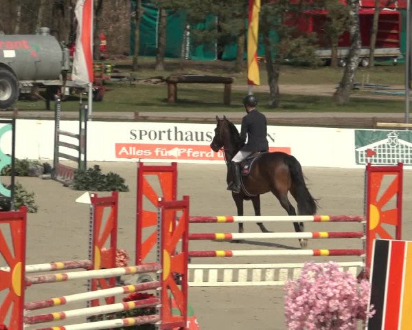 Reitturnier Westergellersen 2023
