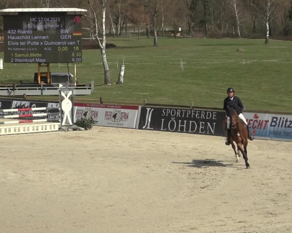 Reitturnier Westergellersen 2023