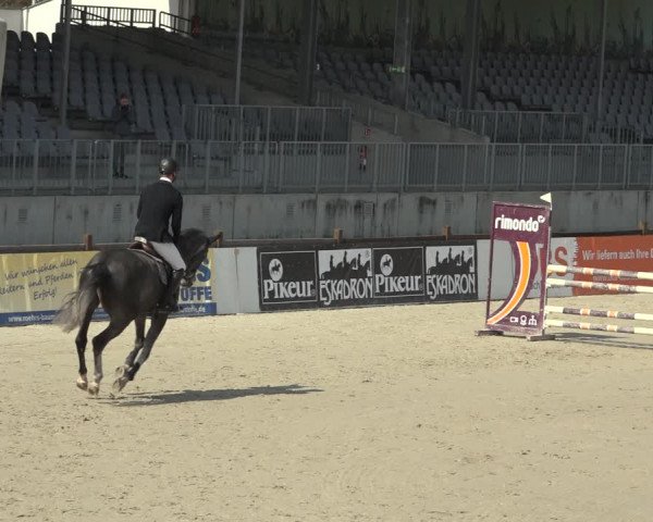 Reitturnier Westergellersen 2023