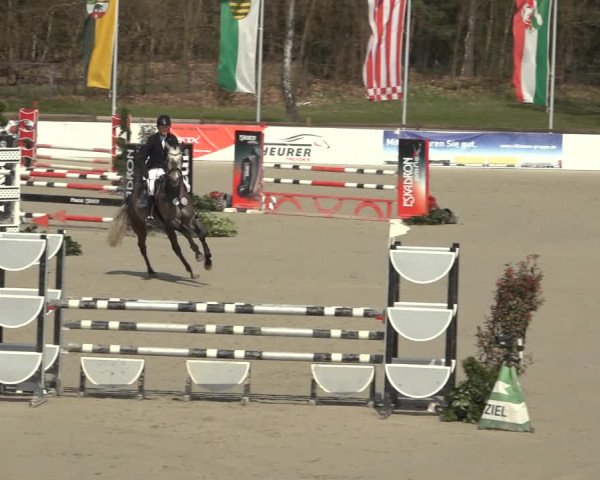 Reitturnier Westergellersen 2023