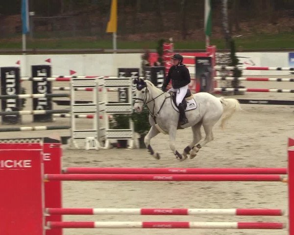 Reitturnier Westergellersen 2023
