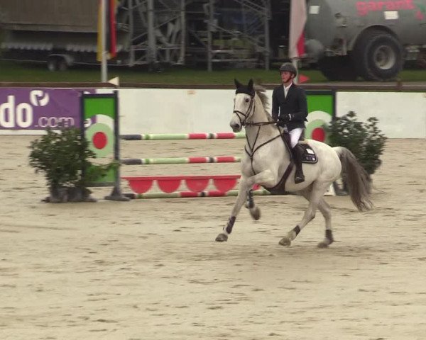 Reitturnier Westergellersen 2023