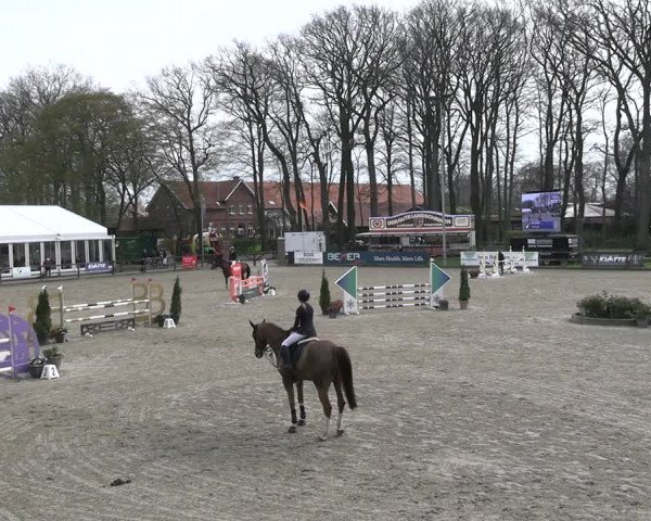 Reitturnier Klein Roscharden 2023