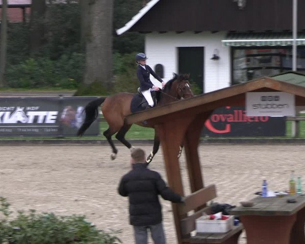 Reitturnier Klein Roscharden 2023