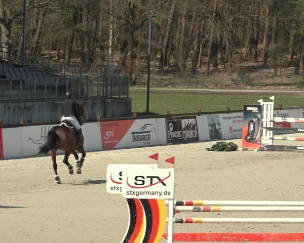 Reitturnier Westergellersen 2023