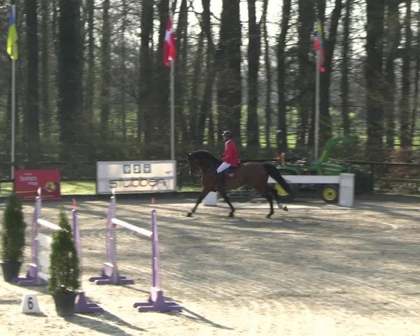 Reitturnier Klein Roscharden 2023