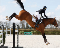 jumper Agathago Z (Oldenburg, 2017, from Aganix du Seigneur)