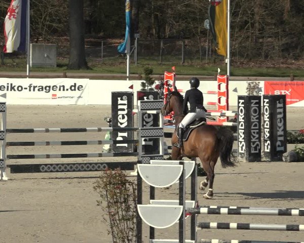 Reitturnier Westergellersen 2023