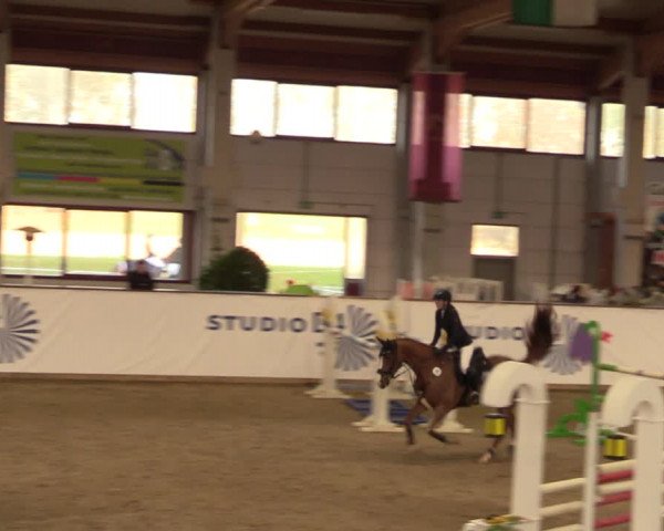 Reitturnier Prussendorf 2021
