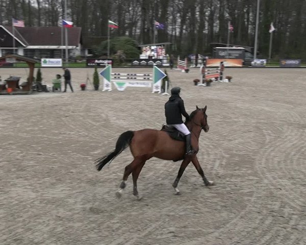Reitturnier Klein Roscharden 2023