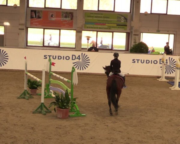 Reitturnier Prussendorf 2021