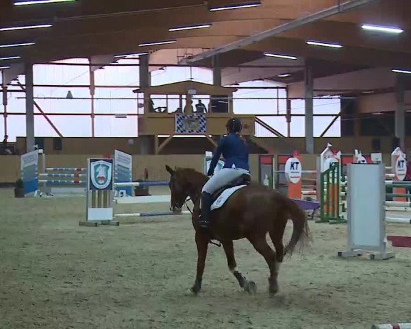 Reitturnier Grafenrheinfeld/Ufr. 2021