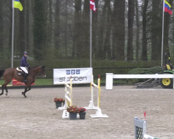 Reitturnier Klein Roscharden 2023