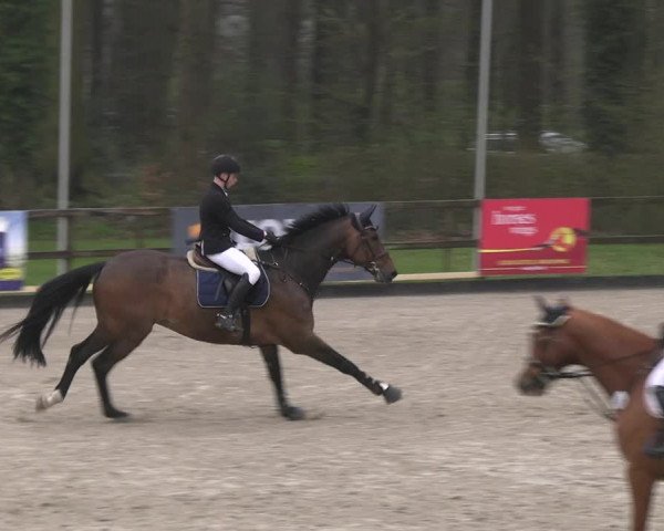 Reitturnier Klein Roscharden 2023