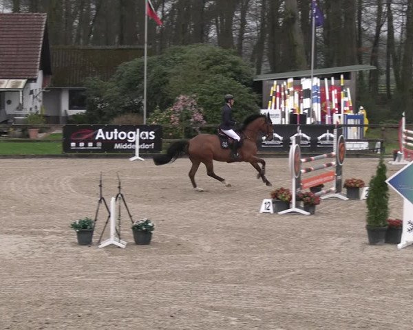 Reitturnier Klein Roscharden 2023