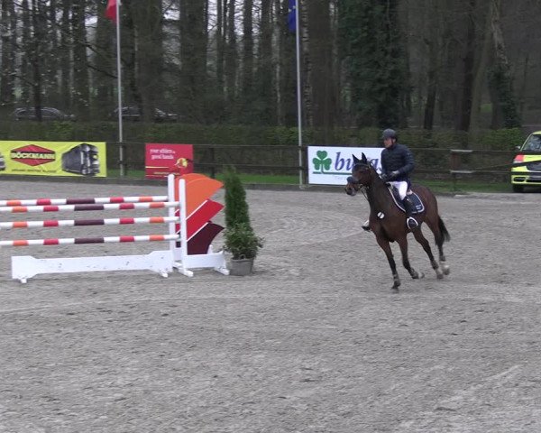 Reitturnier Klein Roscharden 2023
