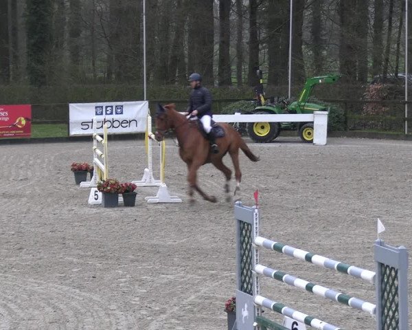 Reitturnier Klein Roscharden 2023