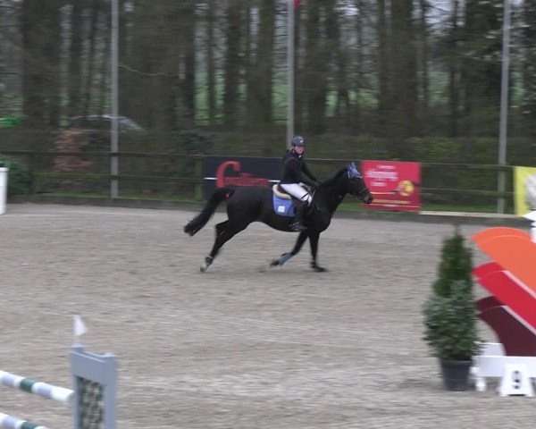 Reitturnier Klein Roscharden 2023