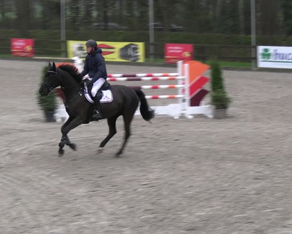 Reitturnier Klein Roscharden 2023
