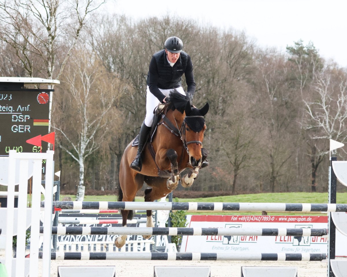 Koń skokowy Cetnis E (Niemiecki Koń Sportowy, 2016, od Chetlag)